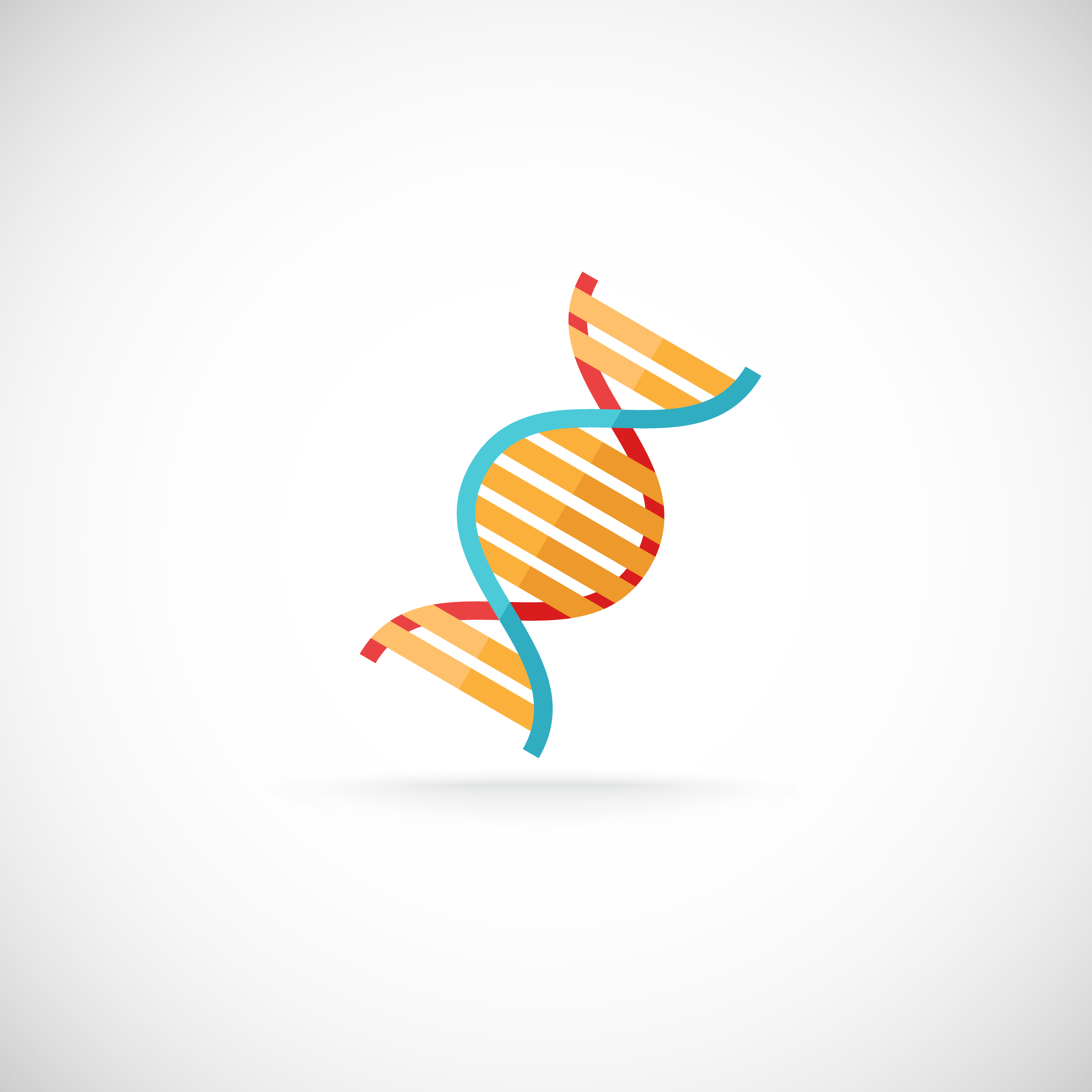 DNA molecule icon