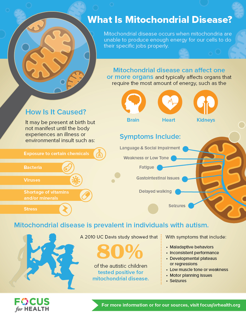 What is Mitochondrial Disease?