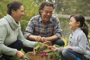 Grandparents and granddaughter in garden