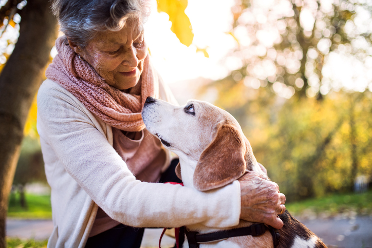 An elderly woman with dog in autumn, outside in nature.