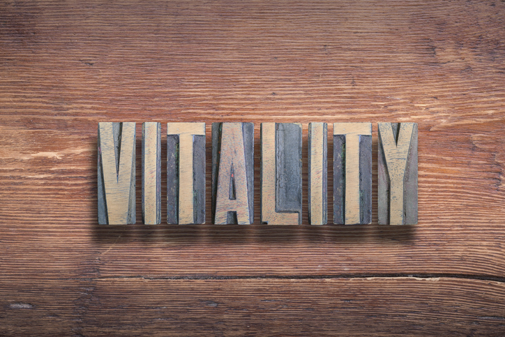 vitality letterpress letters on wood