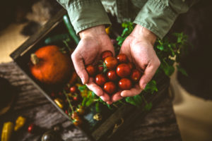 Organic vegetables on wood. Farmer holding harvested vegetables. 