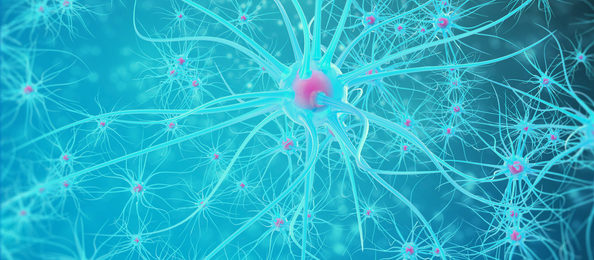 Neural network, brain cells, nervous system. 3d illustration