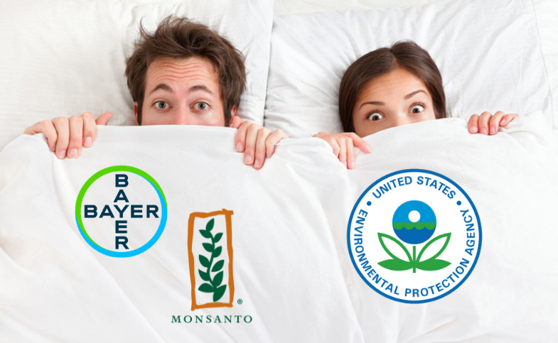 Corporate Influence Over Research, Monsanto in bed with EPA