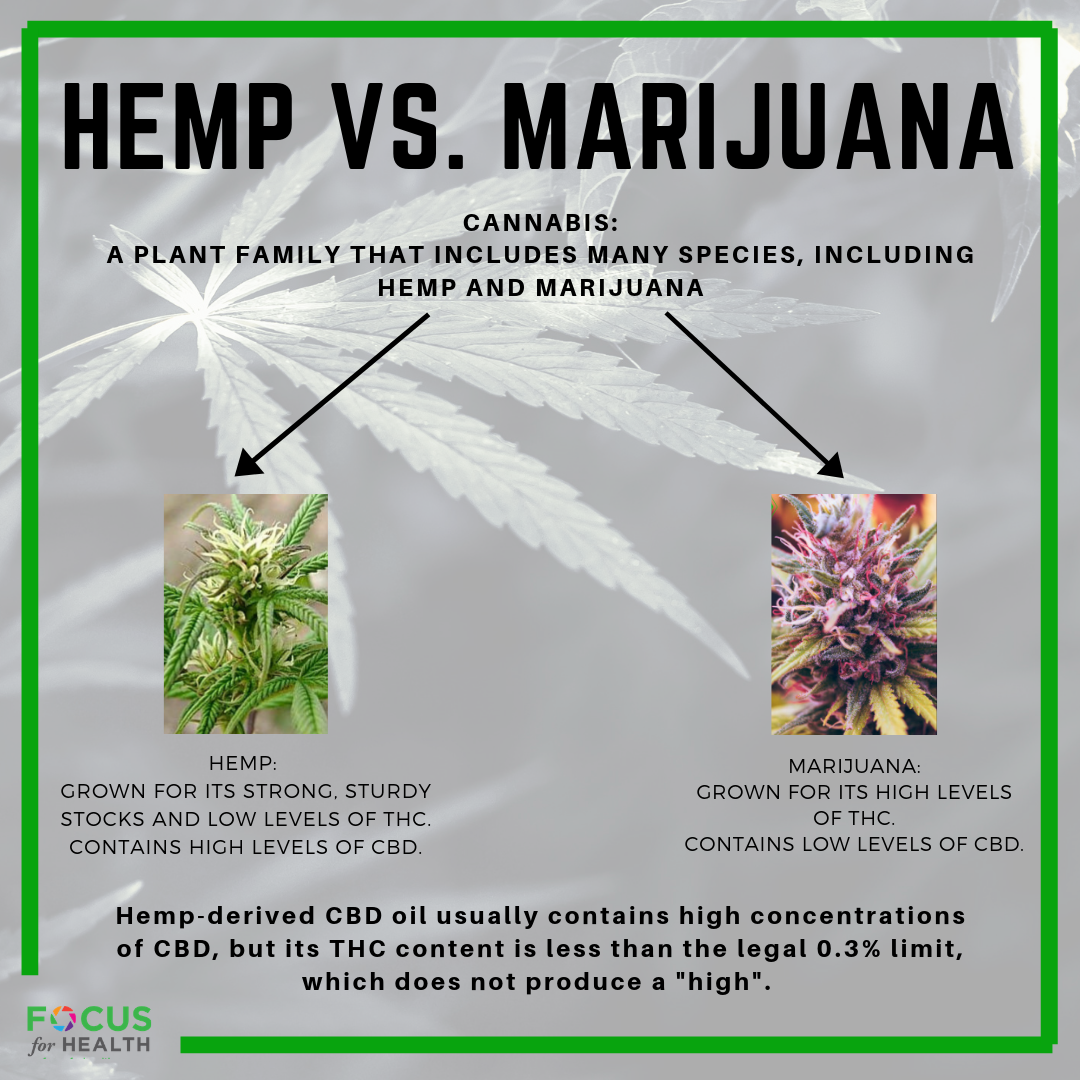 How Much Cbd Is In Hemp Oil Extract? - Cbd|Oil|Cannabidiol|Products|View|Abstract|Effects|Hemp|Cannabis|Product|Thc|Pain|People|Health|Body|Plant|Cannabinoids|Medications|Oils|Drug|Benefits|System|Study|Marijuana|Anxiety|Side|Research|Effect|Liver|Quality|Treatment|Studies|Epilepsy|Symptoms|Gummies|Compounds|Dose|Time|Inflammation|Bottle|Cbd Oil|View Abstract|Side Effects|Cbd Products|Endocannabinoid System|Multiple Sclerosis|Cbd Oils|Cbd Gummies|Cannabis Plant|Hemp Oil|Cbd Product|Hemp Plant|United States|Cytochrome P450|Many People|Chronic Pain|Nuleaf Naturals|Royal Cbd|Full-Spectrum Cbd Oil|Drug Administration|Cbd Oil Products|Medical Marijuana|Drug Test|Heavy Metals|Clinical Trial|Clinical Trials|Cbd Oil Side|Rating Highlights|Wide Variety|Animal Studies
