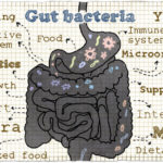 Illustration about Gut Bacteria on old Paper