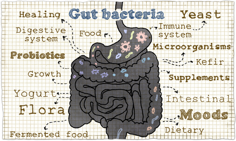 Illustration about Gut Bacteria on old Paper